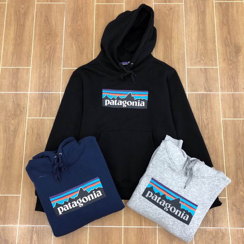 Patagonia Mountain Logo Pullover Hoodie