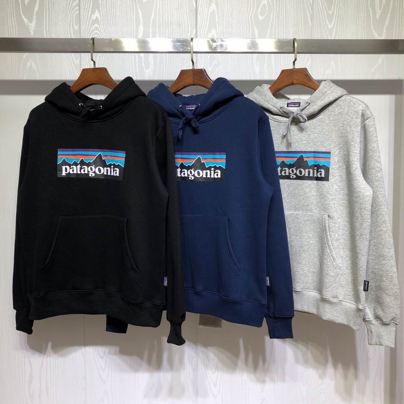 Patagonia Mountain Logo Pullover Hoodie