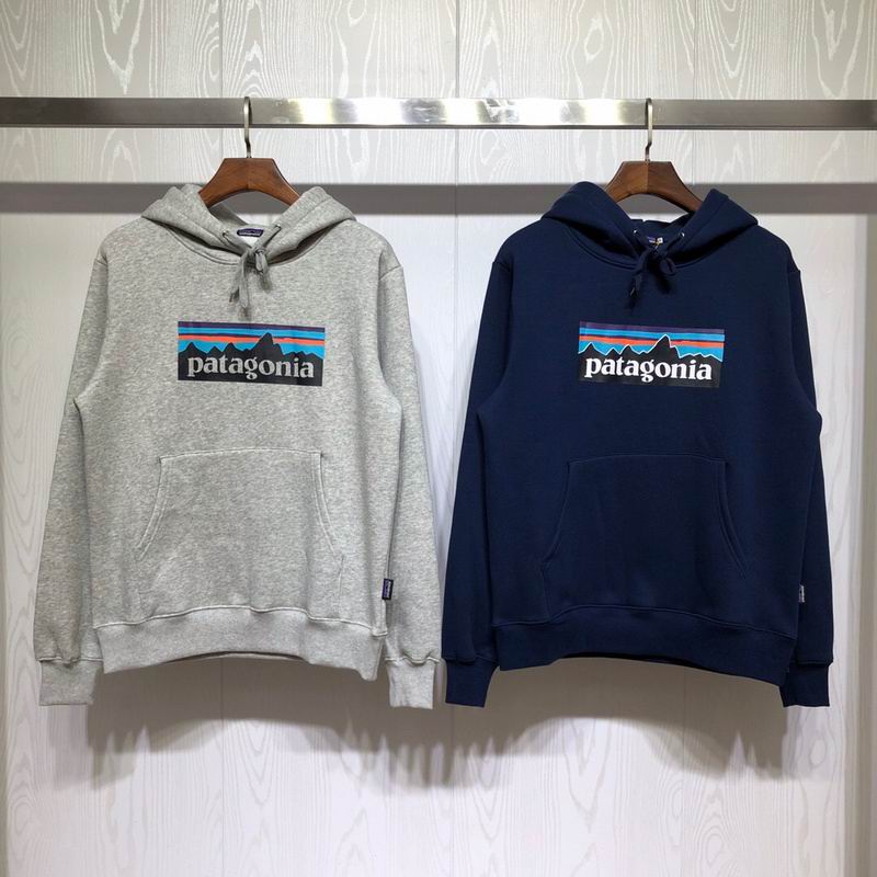 Patagonia Mountain Logo Pullover Hoodie