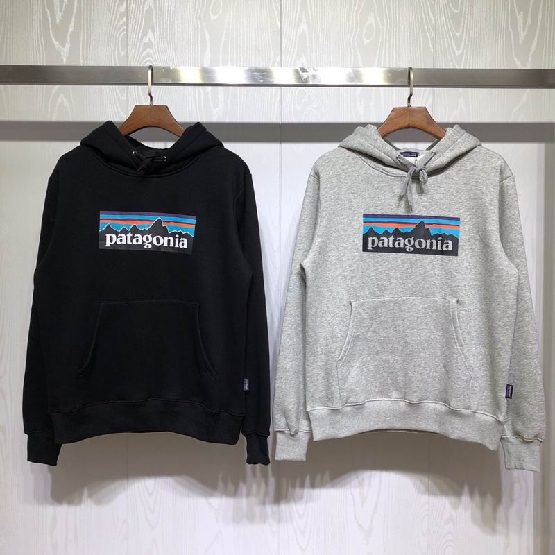 Patagonia Mountain Logo Pullover Hoodie