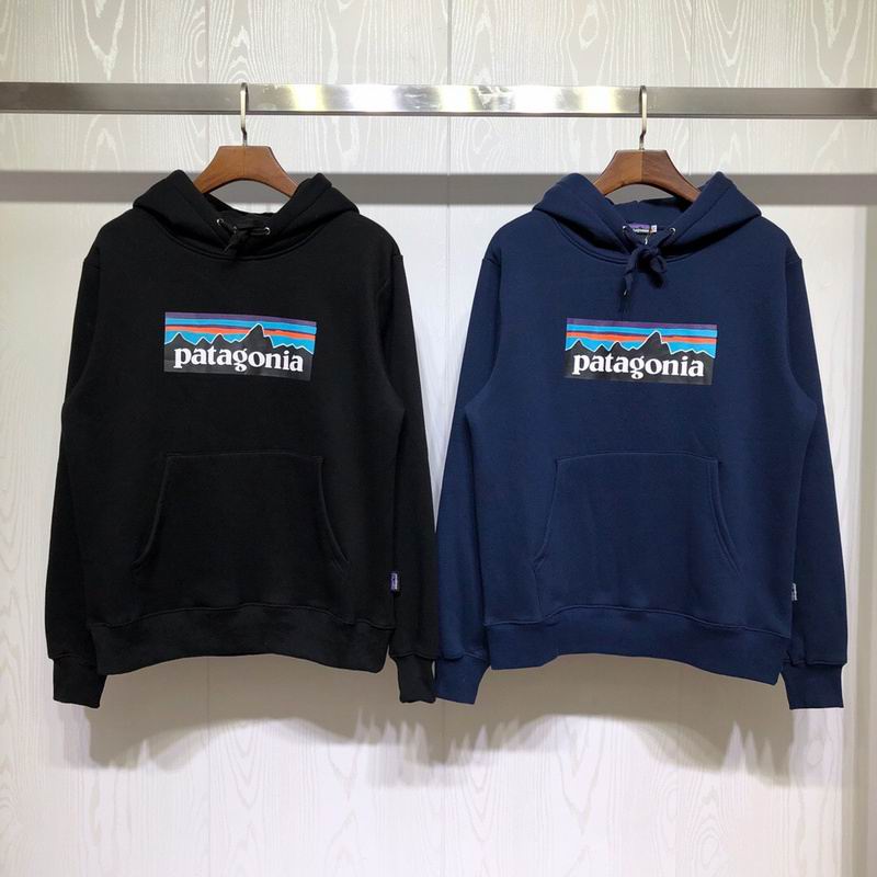 Patagonia Mountain Logo Pullover Hoodie