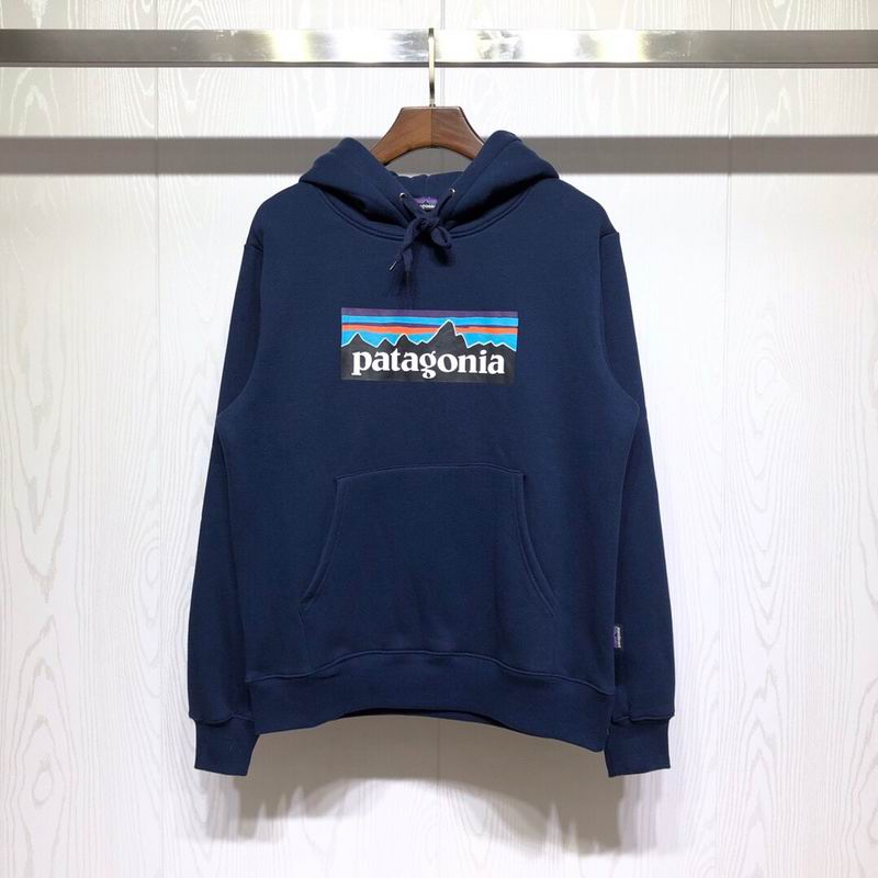 Patagonia Mountain Logo Pullover Hoodie
