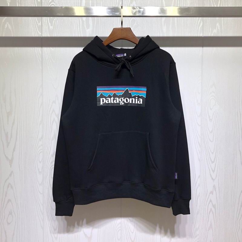 Patagonia Mountain Logo Pullover Hoodie
