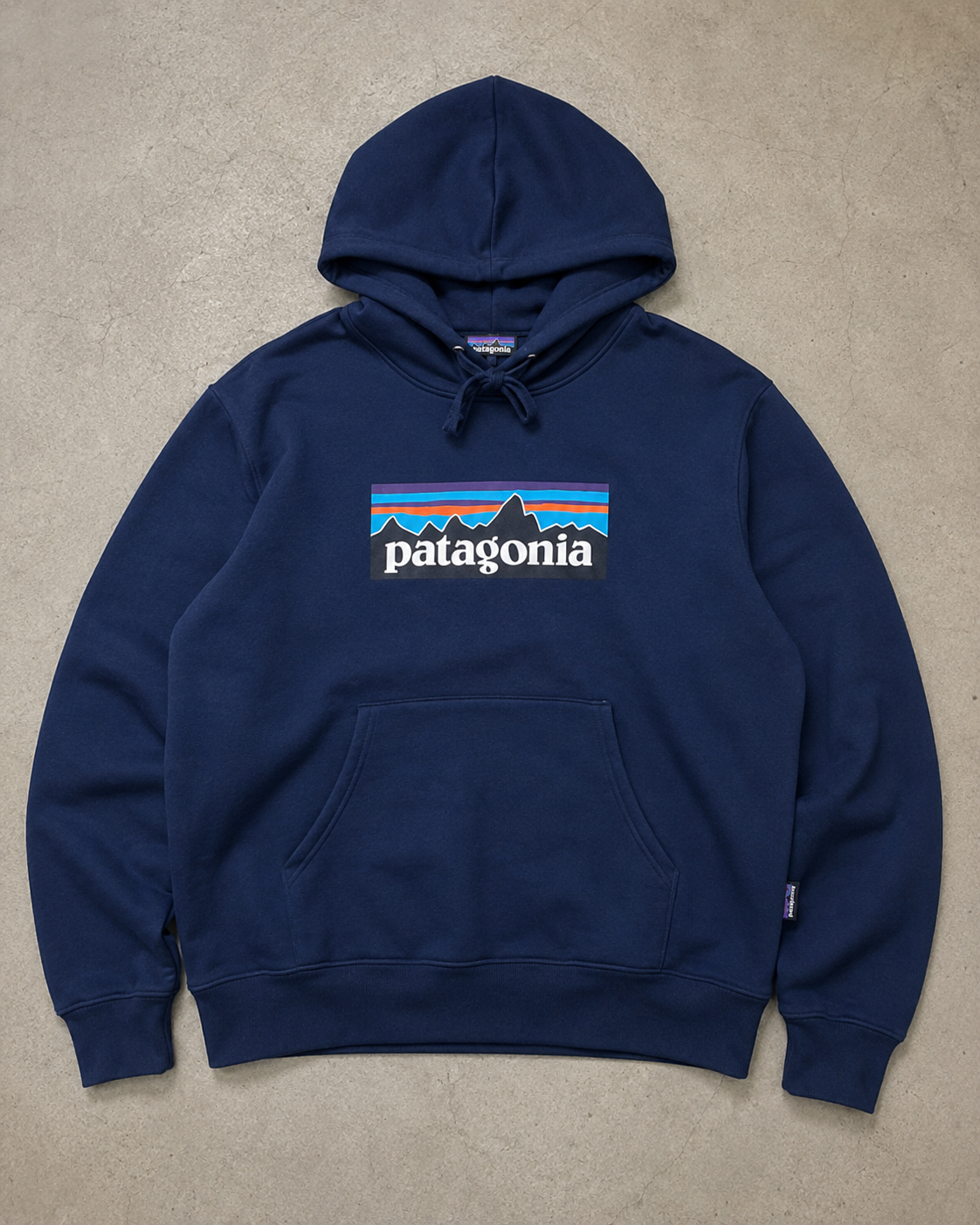 Patagonia Mountain Logo Pullover Hoodie