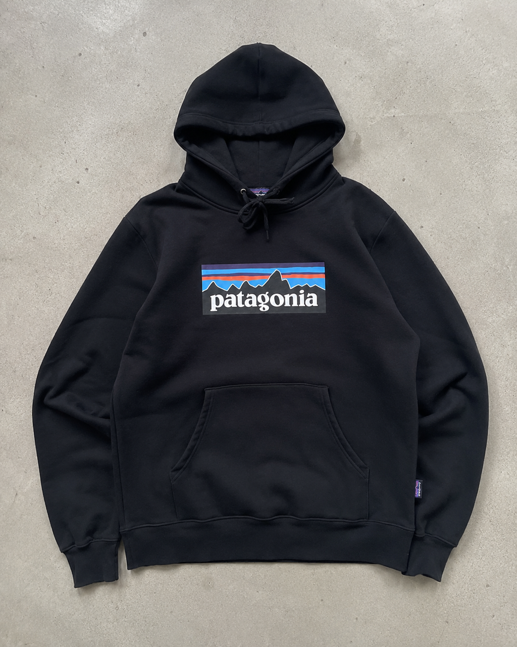 Patagonia Mountain Logo Pullover Hoodie