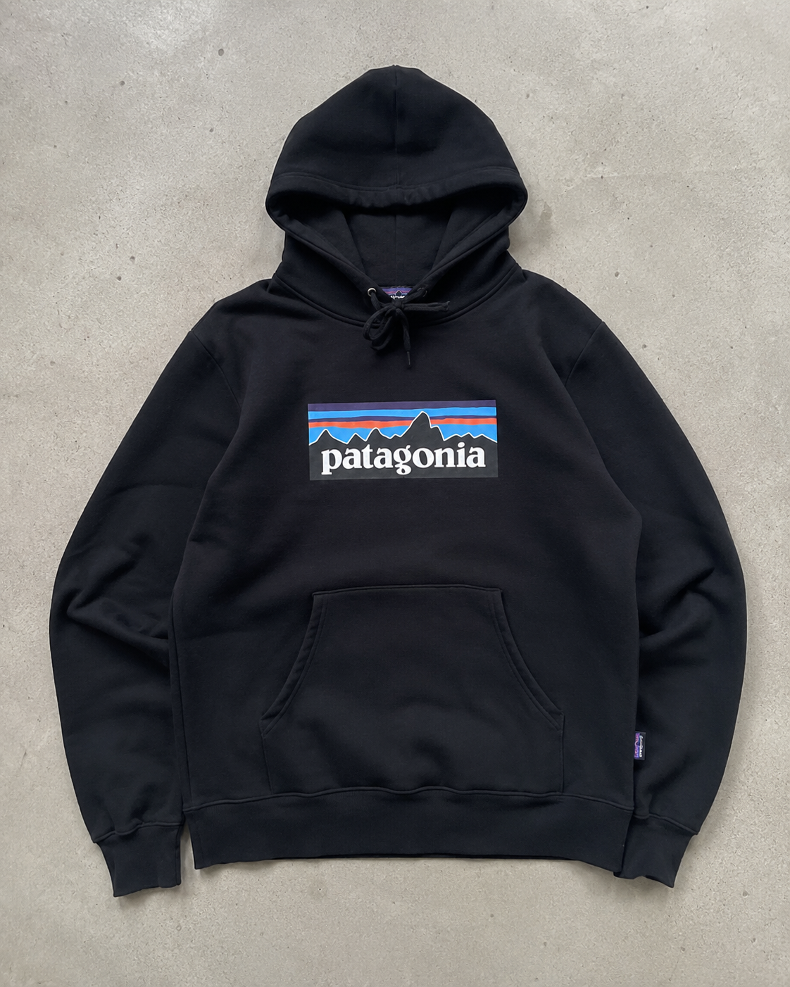 Patagonia Mountain Logo Pullover Hoodie